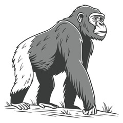 ape or orangutan with white  background vector design.
