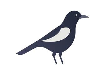 Obraz premium Magpie bird vector illustration