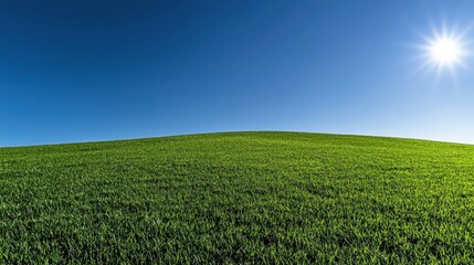 Obraz premium Bright Green Field Under Clear Blue Sky with Radiant Sunlight
