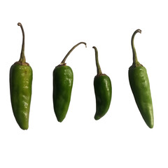 Four vibrant green jalapeno peppers showcase fresh produce and culinary inspiration for healthy eating