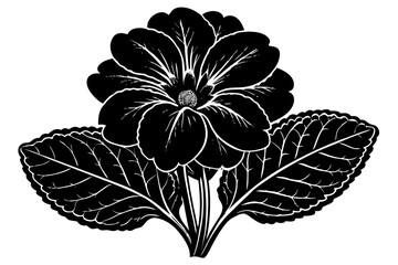 primrose flower black and white silhouette