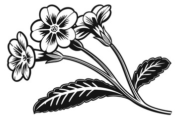 primrose flower black and white silhouette
