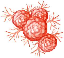 Detailed Vector Illustration of Cancer Cells