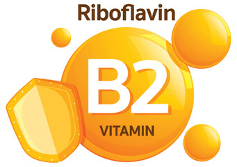 Vitamin B2 Riboflavin Icon with Protective Shield
