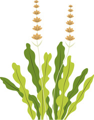 cute cartoon vector illustration of a grass with flowers.