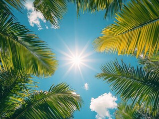 Vertical upward angle sunlight penetrates tropical palm leaves canopy with sunbeam rays and blue sky, nature background for travel blog, wallpaper design, vacation promotion