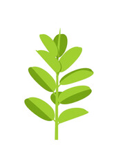 Obraz premium Stylized green plant with multiple leaves on a transparent background