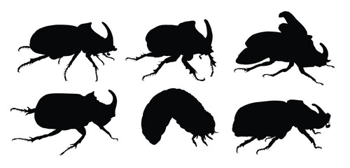 The set of rhinoceros beetles silhouettes.
