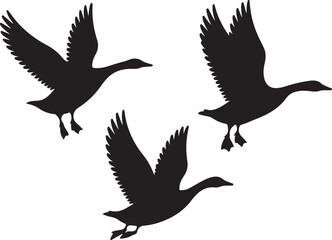 Obraz premium Wild Goose Silhouette Vector Icons – Wing Stretch, Landing, and Standing Broad Pose