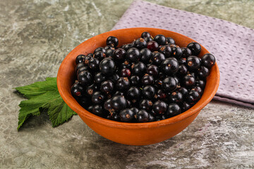 Ripe black currant in the bowl
