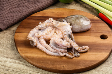 Raw fresh octopus for cooking