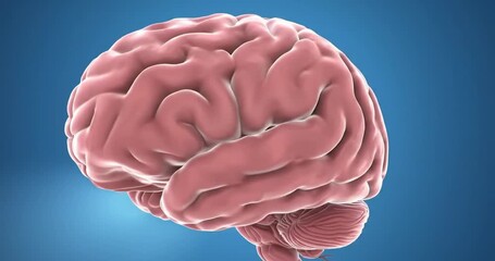 Brain Timelapse From Healthy to Inflamed A time-lapse Highlights progressive danger and ideal for awareness campaigns on neurological deterioration.