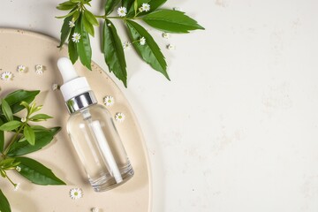Clear Glass Bottle on Stone Surface with Green Leaves