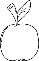 back to school apple, school suppliers element for teacher classroom decoration. Apple doodle line. vector file.