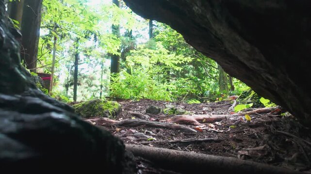 Kesa-Kake Rock Passage and 55th Stone Marker on the Koyasan Choishimichi Pilgrimage Trail &ndash; Wakayama, Japan　世界遺産・高野参詣道・町石道「55町石・弘法大師袈裟掛石の潜り抜け」和歌山県高野町