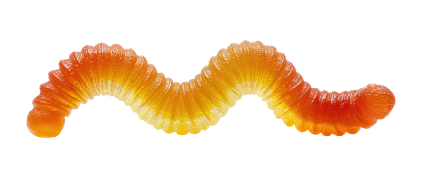 A curved, orange-yellow and red candy worm