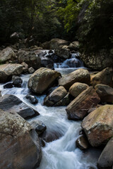 mountain river in the forest