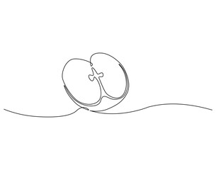 Continuous line drawing of apple slice. Single line illustration of apple fruit. Healty fruit concept. Editable outline