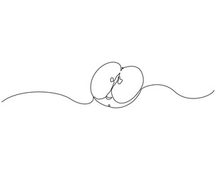 Continuous line drawing of apple slice. Single line illustration of apple fruit. Healty fruit concept. Editable outline
