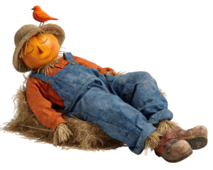 Sleepy scarecrow with pumpkin head wearing denim overalls and straw hat rests on hay, while small orange bird perches on its head, creating peaceful autumn scene