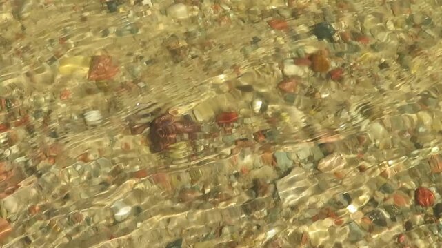 close uo of a river flowing over a stony sandy ground