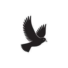 Silhouette of a monochrome bird in flying