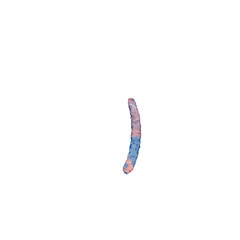 Abstract Iridescent Form on White