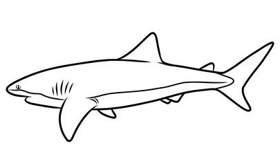 Fototapeta premium Thin Line Illustration of a Shark