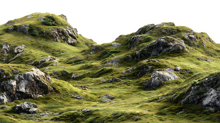 Mosscovered rocky hillside with sparse vegetation against a transparent background