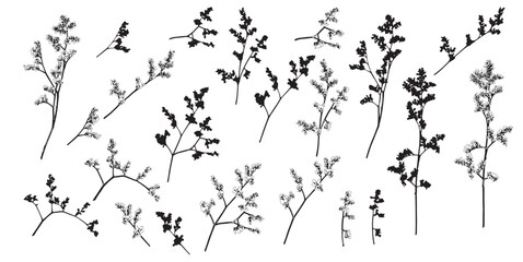 Floral Vector: Black and White Flower Branch Silhouettes on White Background