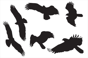 Eagle Silhouettes in Flight, Vector Illustration