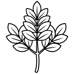 Fenugreek line art vector