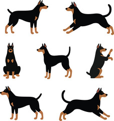 set of dogs doberman cartoon with 7 poses. Vector illustration.eps