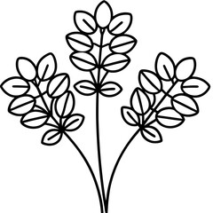 Fenugreek line art vector