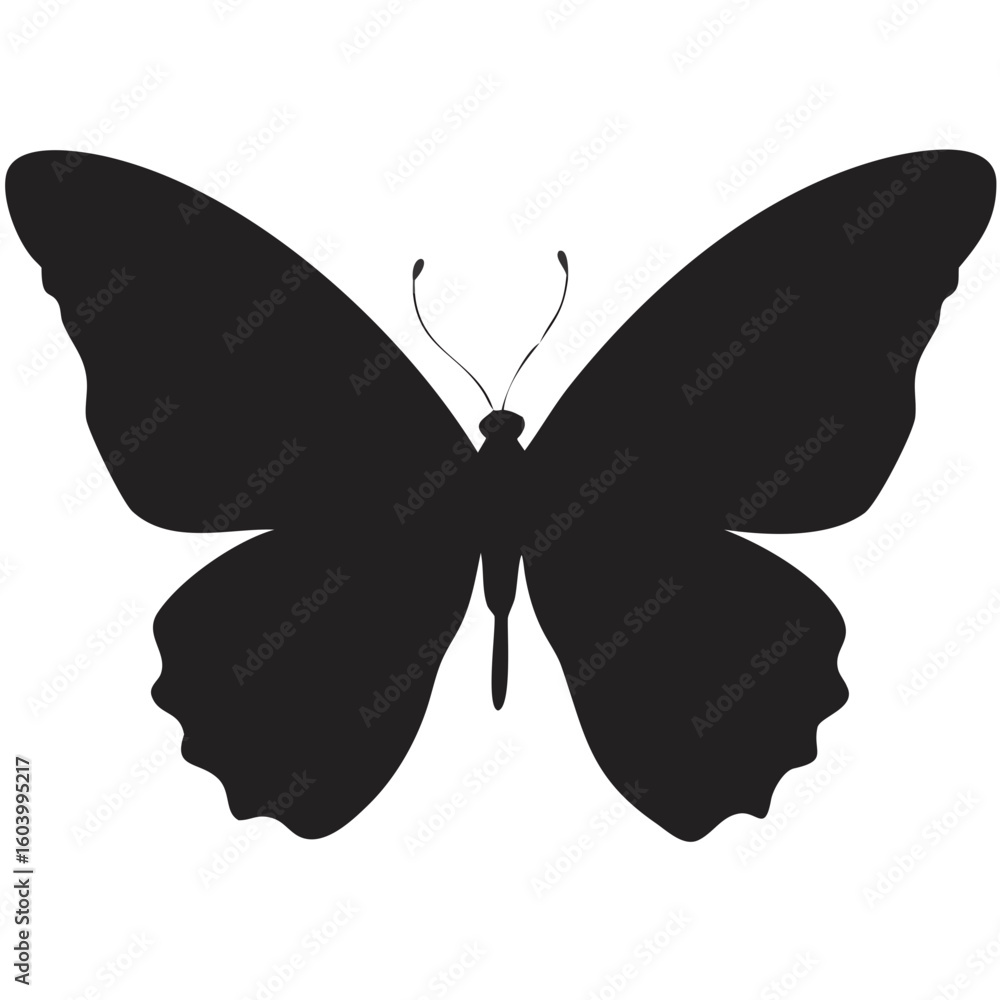 Poster silhouette of a butterfly with detailed wings and antennae displayed against a white background view