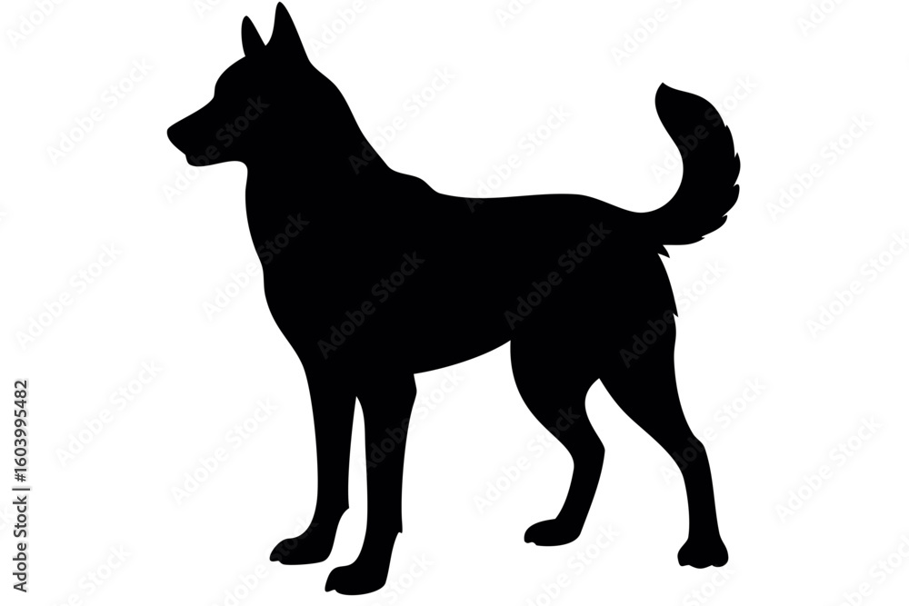 Poster silhouette of a standing dog with pointed ears and a curled tail in a side profile against white bac