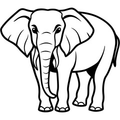 Elephants vector