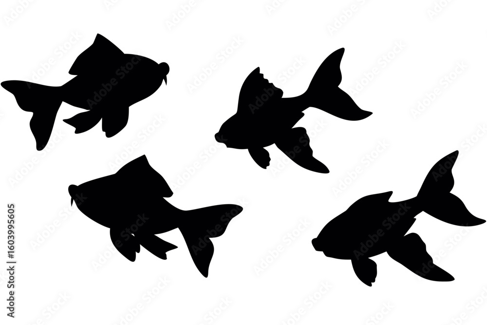 Poster silhouette of four goldfish swimming in different directions on a white background in a simple illus