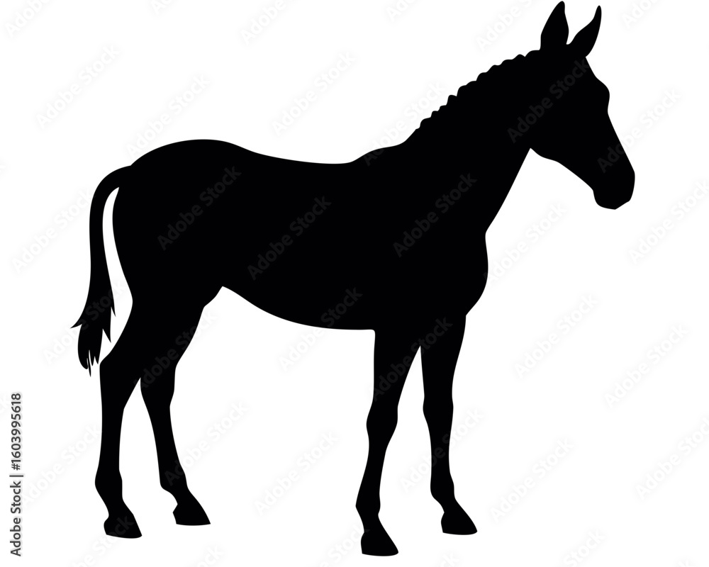 Poster silhouette of a horse standing still with braided mane and short tail in a side view on a white back