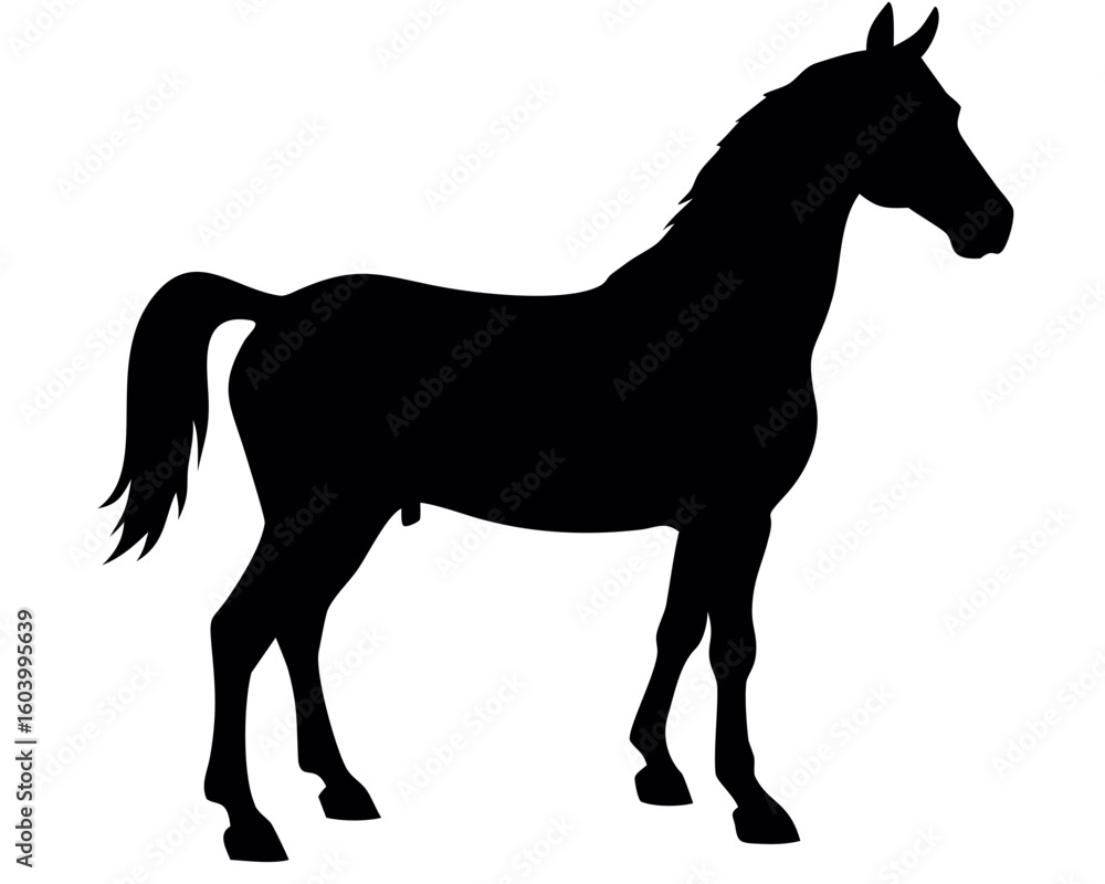 Poster silhouette of a horse standing calmly with a well defined mane and tail against a white background s