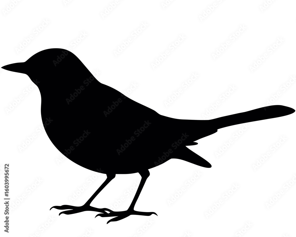 Poster silhouette of a small bird with a long tail and short beak standing in profile on a white background