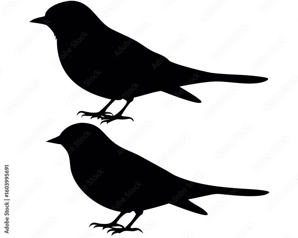 Poster silhouette depiction of two birds perched with distinct features and simple black and white contrast