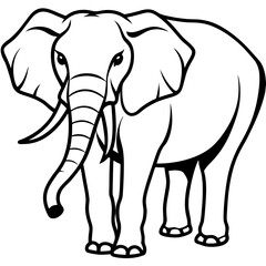 Elephants vector