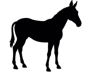 Obraz premium Silhouette of a horse standing still with braided mane and short tail in a side view on a white background created with generated ai