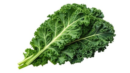 isolated on white medical apparel for doctors and nurses in a healthcare setting 77053791 25