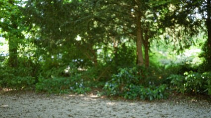 Blurred image of a lush green park with defocused trees and flowers, creating a tranquil bokeh effect in the background.