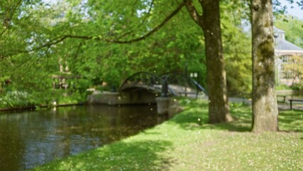Blurry park scene with green trees, bridge, and flowers showcasing out of focus natural beauty...