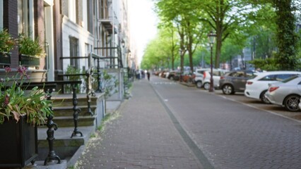 Defocused urban street scene in amsterdam with cars parked under lush green trees lining a sidewalk adorned with flowering plants.