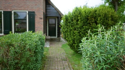 Blurred garden path leads to a charming house with green shutters surrounded by lush shrubs and bright greenery in a serene neighborhood setting.