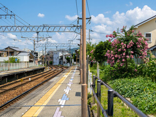 百日紅の花が咲く駅の風景